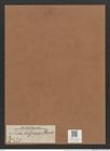 Navicula doljensis Pant. (de-Toni-Nr.: Genus 1, Species 448) Zeichnungen Sammlung Grunow Mappe 00397 (Herbarium_W_Grunow_drawings_Folder_00397)